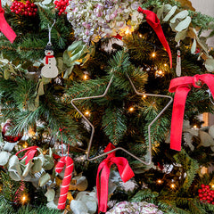 'Bastón de caramelo'