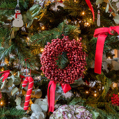 'Bastón de caramelo'